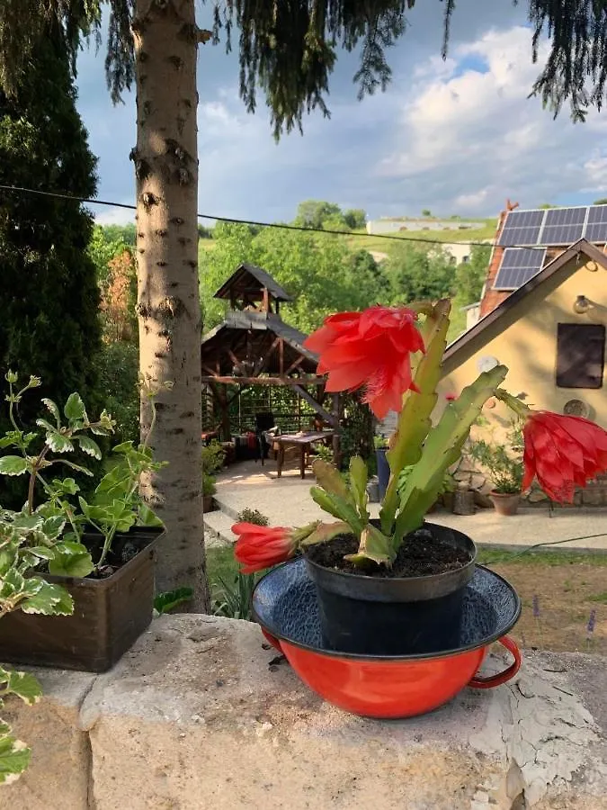 Villa Koporos Eger Węgry